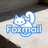 Foxmail 电子邮件客户端官方 Logo